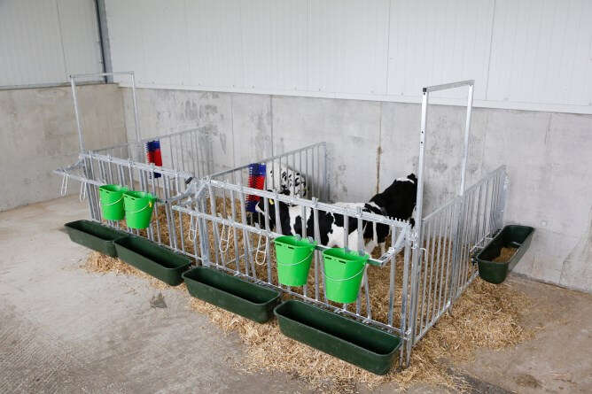 KERBL Modulare Zaunaufstallung Doppelset für 2x3er-Kälbergrupen mit Wandbefestigung